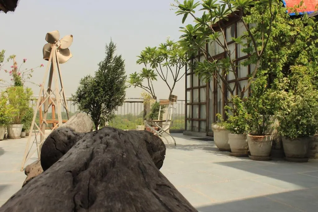 The Lazy Patio Homestay