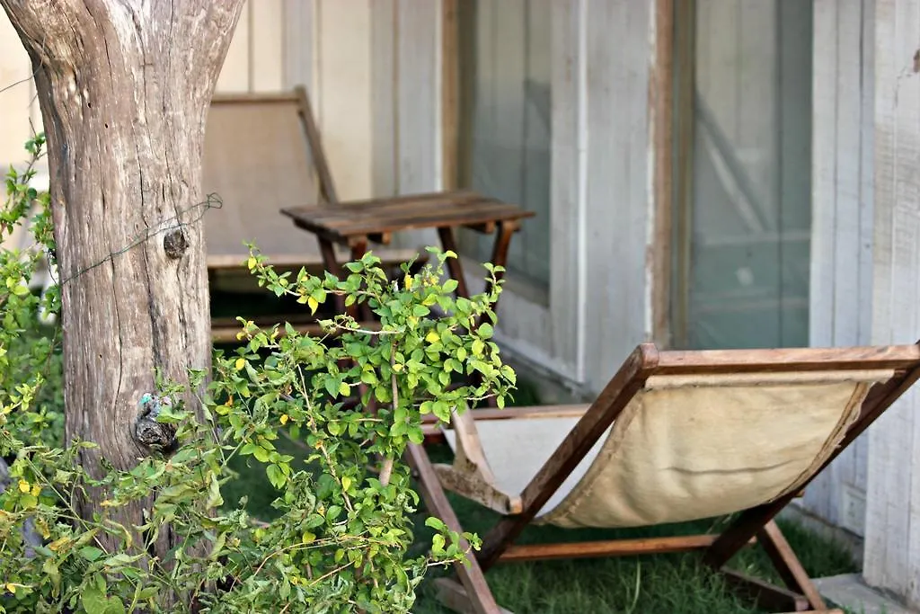 The Lazy Patio Homestay