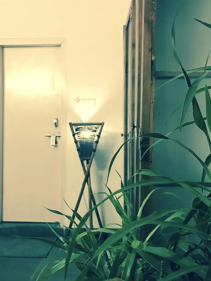 The Lazy Patio Homestay