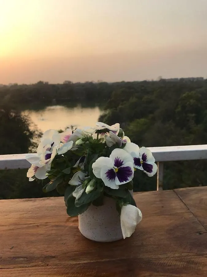 The Lazy Patio Homestay