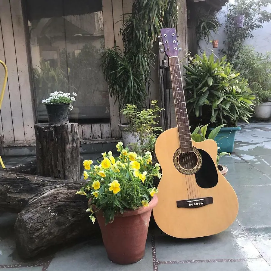 The Lazy Patio Homestay New Delhi