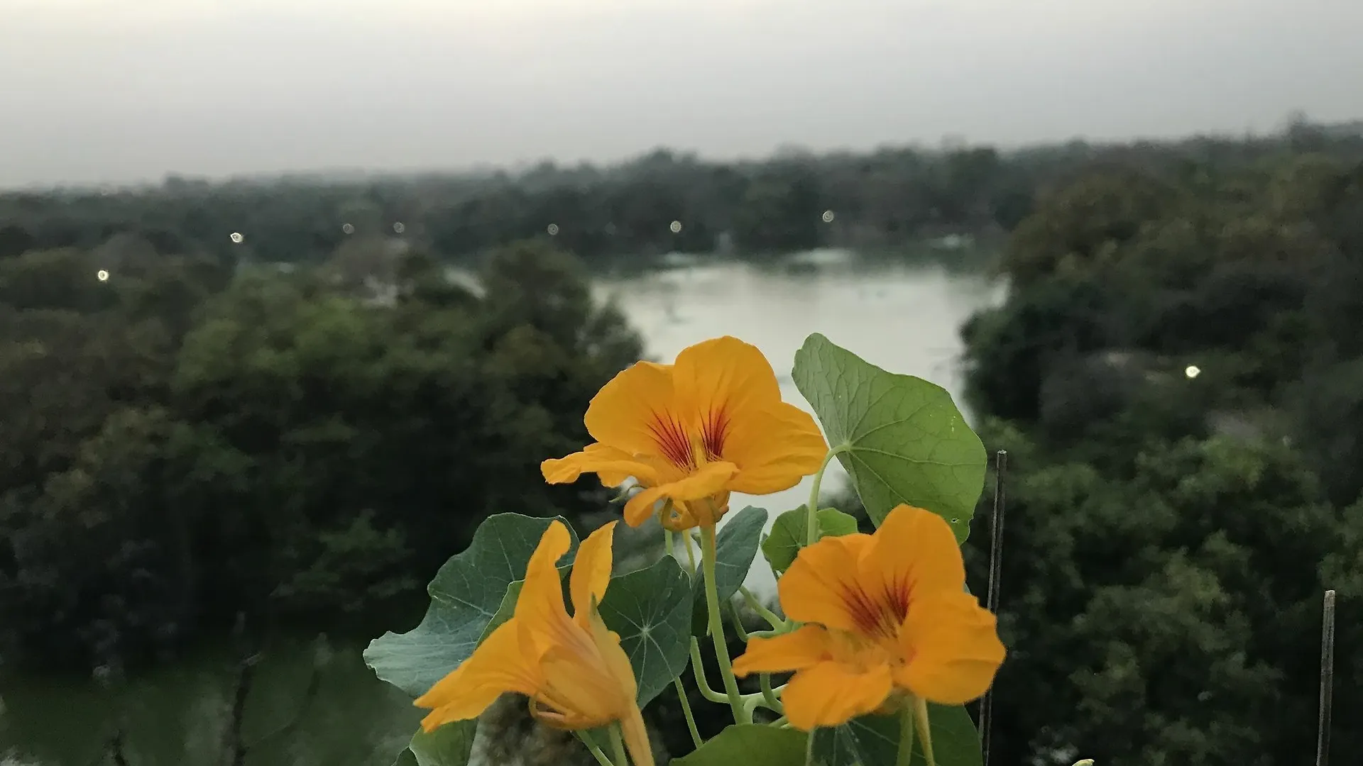 The Lazy Patio Homestay India